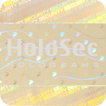 Design 1 - goldenes Hologramm mit silbernem Logo