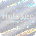 Design 1 - silbernes Hologramm mit silbernem Logo