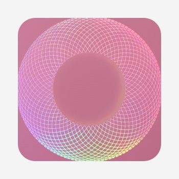 Design 2 - Rosa